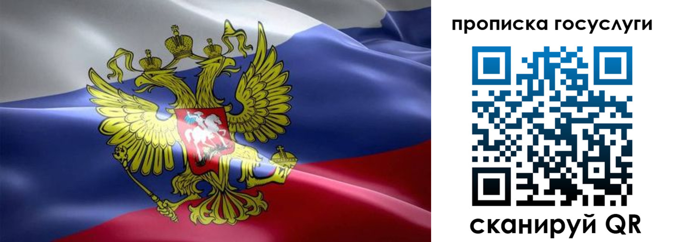 прописка законно в Владимире
